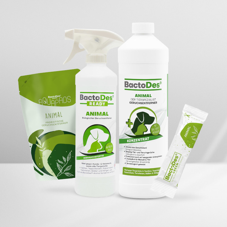 BactoDes Animal Geruchsentferner Verpackungslösungen - Flasche, Sprühflasche, Beutel und Granulat